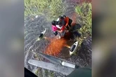 Bolivia: aterrizaje de emergencia y 36 horas atrapados en un pantano rodeados de caimanes
