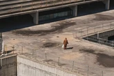Madrid Ext.: Gritos y susurros de una gran ciudad (****)