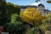 Imputan y envían a prisión a una ciudadana china por robar seis kilos de oro en el Museo Nacional de Historia Natural de París a principios de octubre