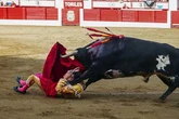 Sorprendente puerta grande de Marco Pérez con una buena corrida de La Ventana en Santander