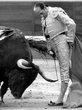 La plaza de toros de Pontevedra cumple 125 años de historia y 50 en manos de la familia Lozano: allí donde Antoñete cortó el último rabo