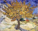 Veinte claves para disfrutar del otoño y sus cielos