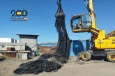 Arrestan a cuatro individuos por el robo de ocho toneladas de cobre: dejaron sin luz a siete negocios y simulaban ser operarios de cableado