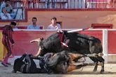 Sobrecogedora cogida de Diego Ventura en la corrida de Montijo