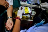 Los gays podrán donar sangre con más facilidad en el Reino Unido