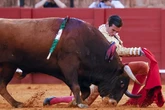 Distintas formas de "esperar": Juan Ortega, Roca Rey y las cuatro tardes de Talavante en Madrid