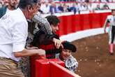 Pido el Nacional de Tauromaquia para 