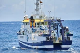 Tenerife: la casualidad que permitió hallar a Olivia y que su padre nunca contempló
