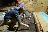 Los cruces entre neandertales y humanos modernos fueron ms frecuentes de lo que se crea