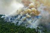 La encrucijada verde mantiene al mundo en alerta