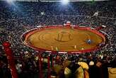 México celebra su tradicional Corrida Guadalupana con la mejor entrada de la temporada: vuelta al ruedo para Ferrera; oreja para Diego San Román