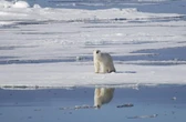 La Tierra podría llegar por primera vez a 1,5 grados de calentamiento climático entre 2021 y 2025