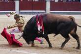 La apabullante superioridad de los toros de Victoriano del Río se lleva el mano a mano de Fernando Adrián y Borja Jiménez en Las Ventas