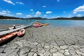 Clima y biodiversidad: cómo acometer dos crisis al mismo tiempo