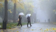 Синоптики спрогнозировали дождь и до +10 градусов в Москве 27 октября