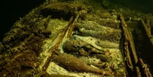 На дні Балтійського моря знайшли уламки старовинного корабля. Він віз незвичайний вантаж