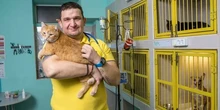 Бізнес виступив проти змін до закону про ветеринарну медицину