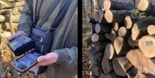 «Це неправильно, але як є». Українські лісники навчилися обходити нову державну систему контролю вирубок — NGL.media