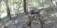 До публікації. Українські військові знищили «акторів» фейкового відео про «засідку»