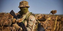 Воювати будуть не всі. Які нові моделі бронювання розглядають у Раді та хто зможе легально «відкупитися» від мобілізації
