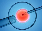 IVF clinic defends ‘destroyed eggs’ claim