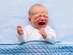 Wine bar bans children and Minogues