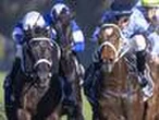 Ray and Duff: Wairere Falls to make a splash