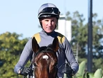 Surgery ends Boss’ winter carnival stint