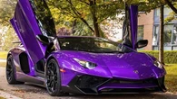 Licence cancelled for luxury car mogul