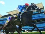 Covid lockdown forces Randwick meeting transfer