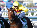 Vega One’s career in doubt after post-surgery infection