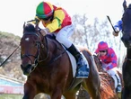 ‘Perfect’ barrier in Direct quest for Vain boilover