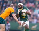 Bok injury crisis: Hammer blow as Kolisi ruled out, Eden Park dream in jeopardy
