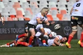 LIVE | Currie Cup - Cheetahs v Sharks