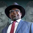 Treasury takes over govt pensions agency after R1.2bn procurement scandal
