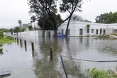 LIVE | Homes, roads flooded as heavy rain persists in Western Cape