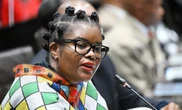 Former minister Nobuhle Nkabane elected acting chair of agriculture portfolio committee