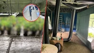 Weszli na działkę 25-latka. Potężna skala odkrycia w Sławnie