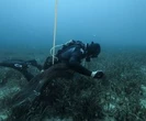 Bomba biologiczna na dnie Bałtyku. Sprawą zajmuje się Komisja Europejska