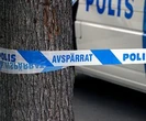 Polskie kierowca znaleziony w spalonym tirze. Podejrzany uniewinniony z zarzutu morderstwa