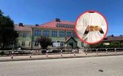 Incydent z udziałem księdza. Skandal w szkole podstawowej
