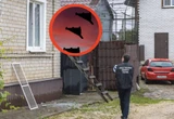 69 ukraińskich dronów zestrzelonych nad Rosją i Krymem. Są ofiary śmiertelne