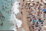 Dramatyczne chwile na plaży w Chorwacji. Żmija ukąsiła dziecko