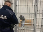 Rodzice z Karlina skazani. Doprowadzili do poparzenia półtorarocznego synka. Sąd wydał wyrok