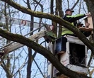 Niesamowita inicjatywa w Łodzi. Internauci pokochali most dla wiewiórek