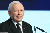 "Karma dla bezdomnych zwierząt". Spółka Srebrna ujawniła swoje finanse za 2024 rok