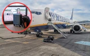 Ryanair kontroluje, pasażer kombinuje. Nowe plecaki podbijają rynek