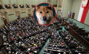 Zapytali o nieistniejący lek dla psów. Kompromitacja posłów