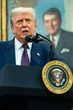 Wymiana terytoriów między Ukraina a Rosją? Trump ma omówić z Putinem