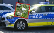15-latek "pożyczył" auto. Przejażdżkę zakończył na drzewie